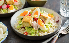 Vleesvervanger: tofu