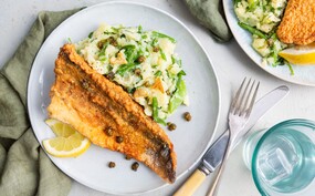 Lekkerbek met grove snijbonenstamppot