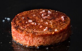 vleesvervangers gezond