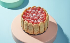 CHARLOTTE ROUSSE 3.jpg