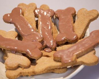 Hondenkoekjes