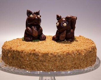 Fiekes eekhoorntaart