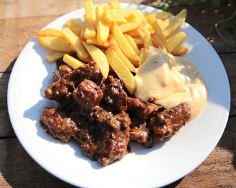 Stoofvlees met friet