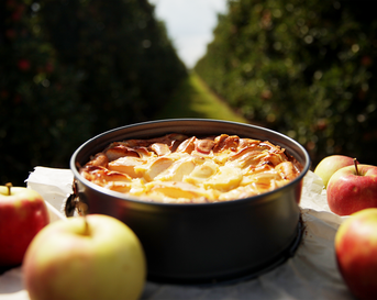 Appeltaart Hidde PLUS met vorm
