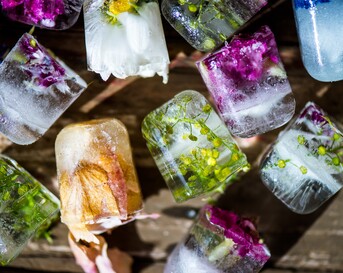 flower ice cubes