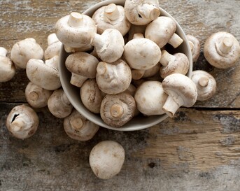 champignons