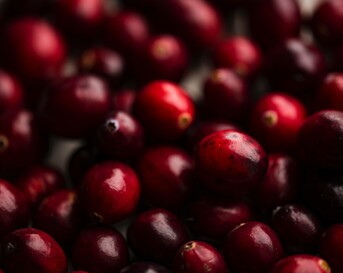 Cranberry