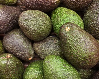 Avo