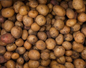 Aardappelen
