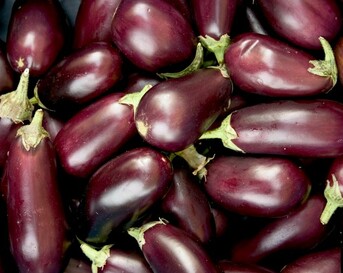 Aubergines