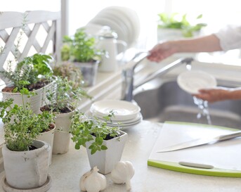 Keukenplantjes