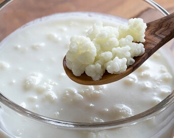 Kefir