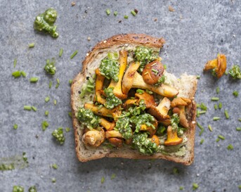 Broodje avocado met cantharellen