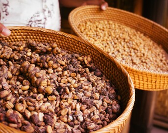Kopi Luwak koffie