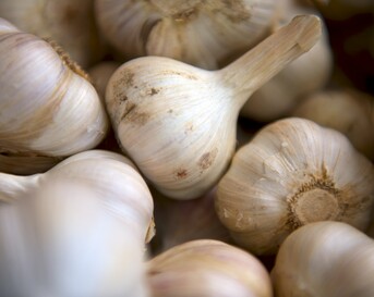 knoflook
