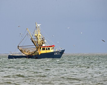 De Wadden - Boot