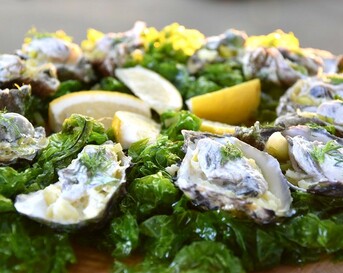 Oesters in champagne