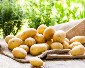 Aardappels