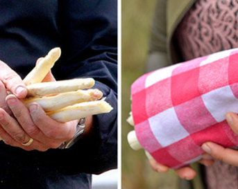 Asperges