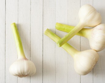 verse knoflook