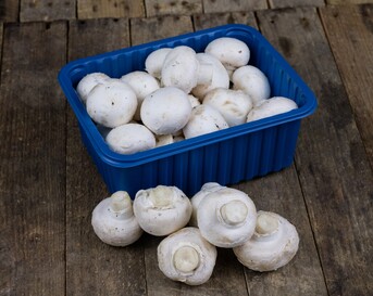Champignon