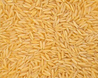 orzo