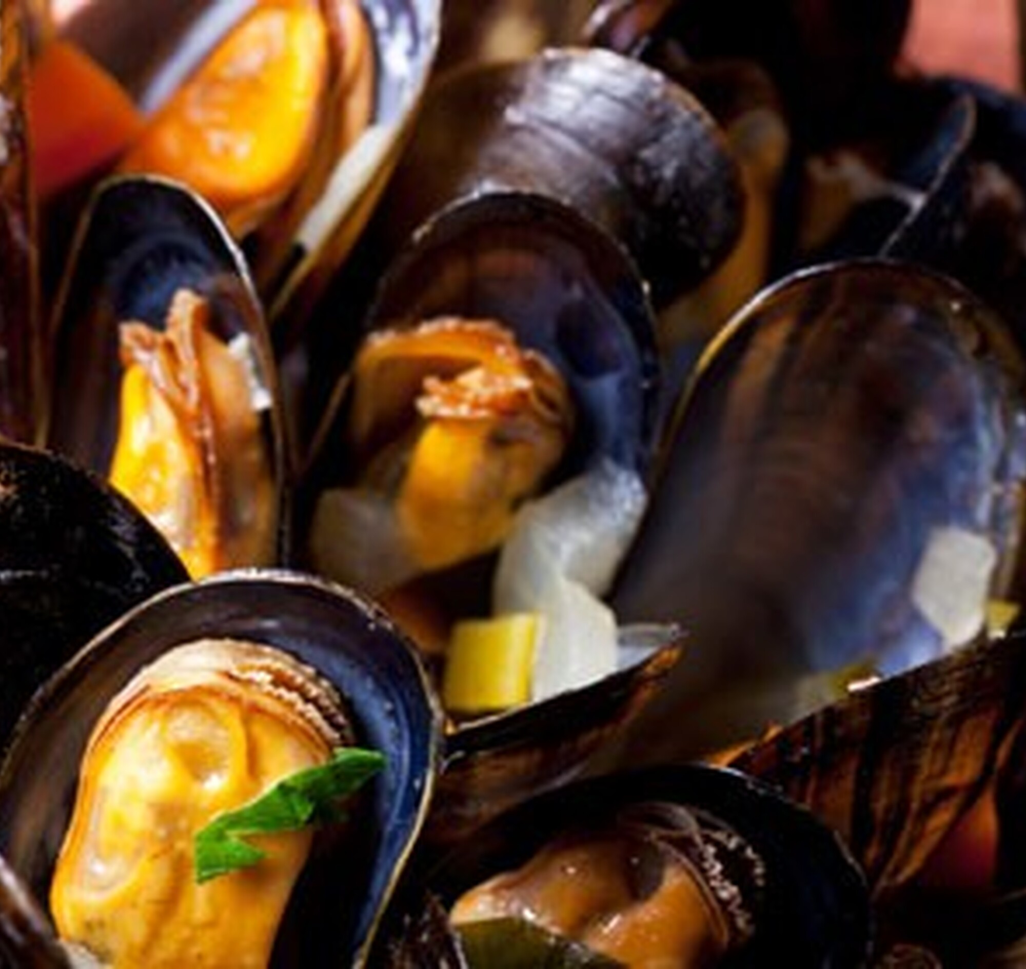 Mosselen seizoen en verkrijgbaarheid 24Kitchen