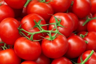 Tomaten bewaren