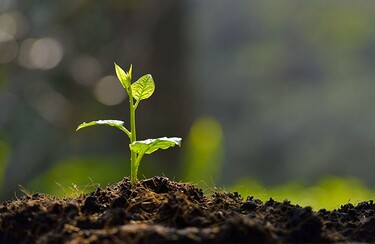 Moestuin-kalender