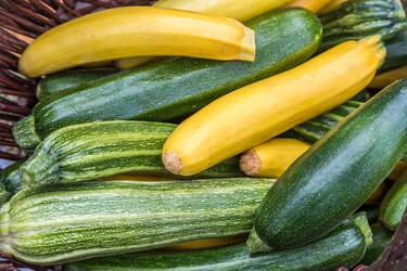 Courgettes