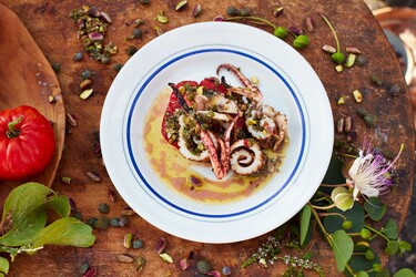 Jamie Oliver squid 