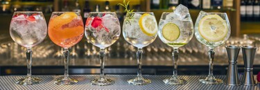 Verliefd op dit drankje? Tips voor het maken van de perfecte gin-tonic 