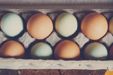 Eieren: kun je er teveel van eten? 