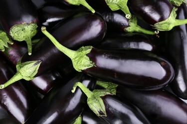 Aubergine-recept 