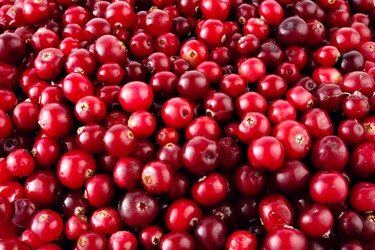 Cranberry's