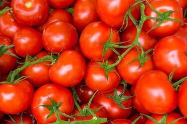 tomaten goedkoop