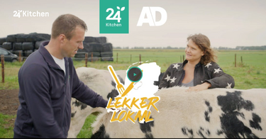 Zuid-Holland