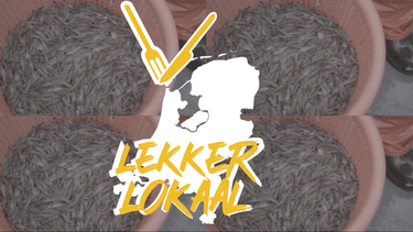 Lekker Lokaal - Texel