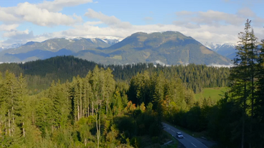 steiermark bos