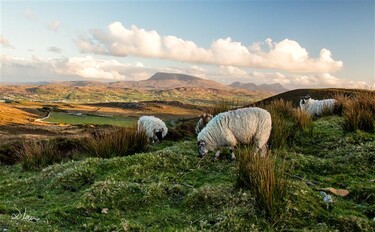 Hugo maakt Kennis: Ierland