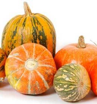 Goede pompoen