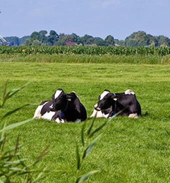 Duurzaam voedsel steeds populairder