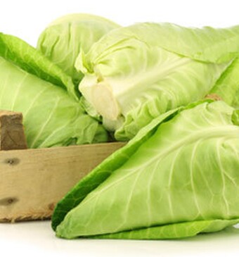 Spitskool centraal bij wereldrecordpoging