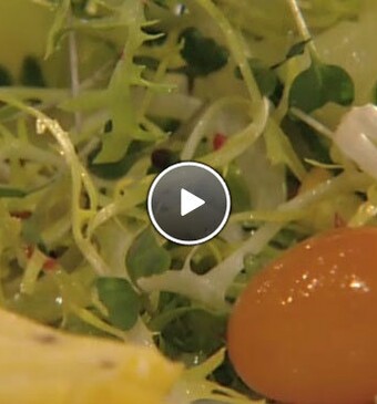 Omelet met salade van gemarineerde courgette