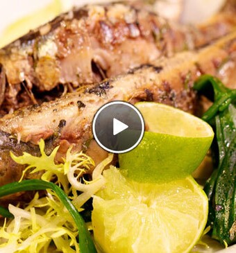 Gegrilde sardines met zeekraal en lamsoren