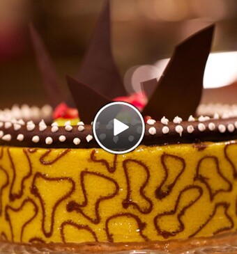 Marco’s Out of Africa taart