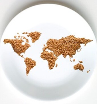 Lokaal of internationaal?