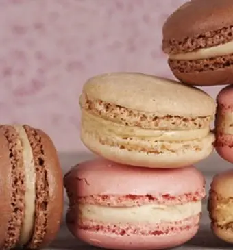 De dag van de Macaron