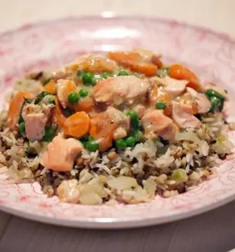 Romige zalmragout