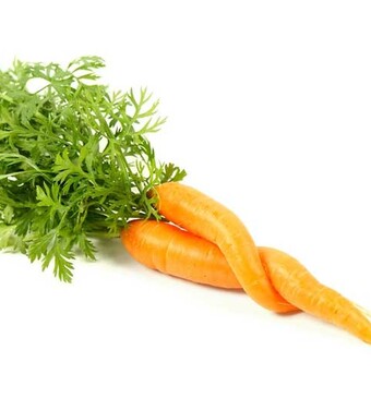 Zaterdag gekke groente invasie in Rotterdam